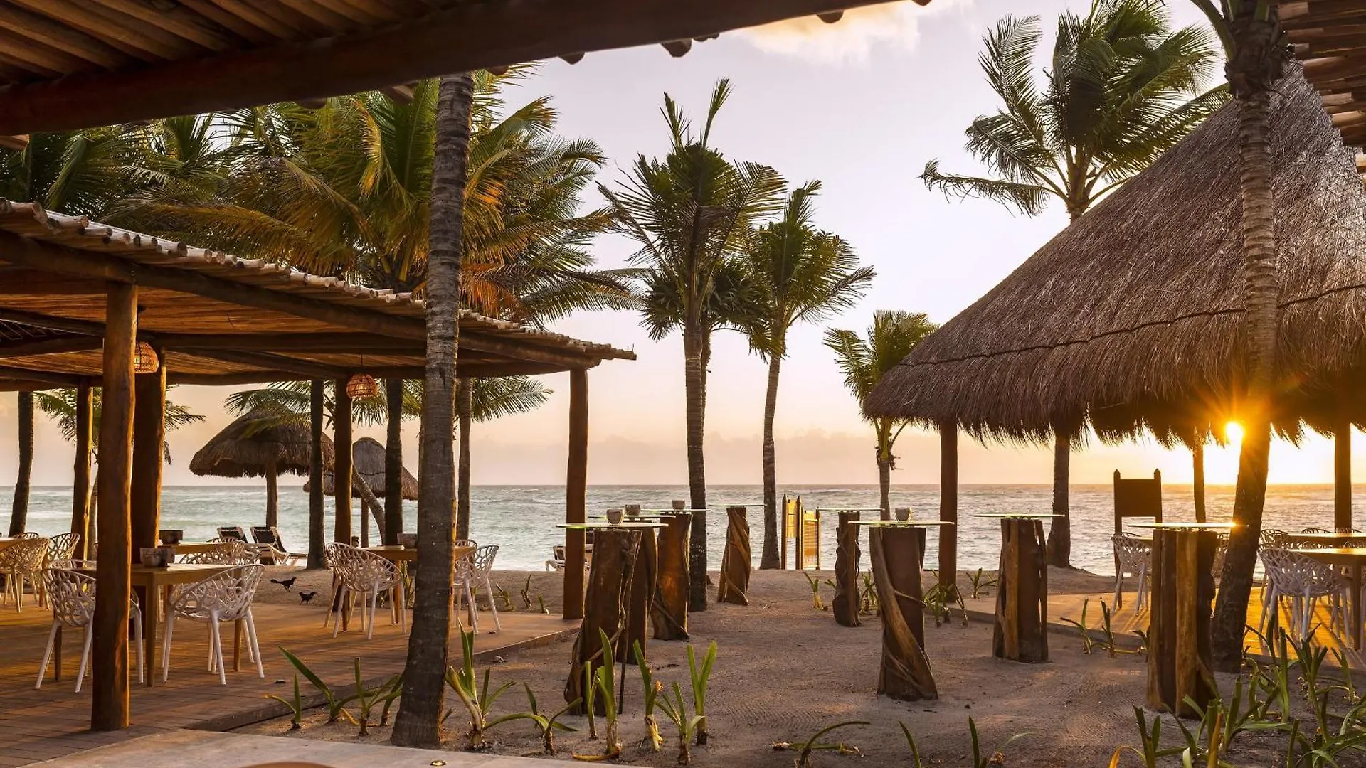Riviera Maya Grand Palladium Colonial Resort & Spa 5*, Riviera Maya מקסיקו